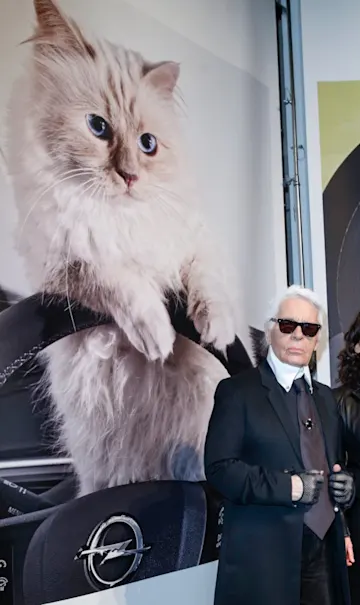 Choupette, la famosa gata de Karl Lagerfel es invitada a la Met Gala.