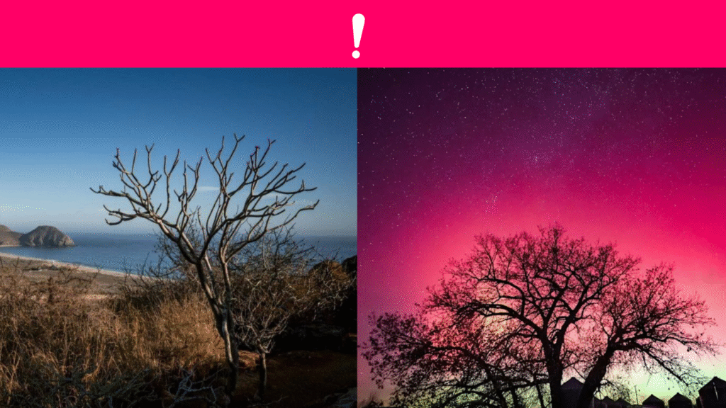 Científicos de la UNAM confirman que las auroras boreales en México ocurren cada 30 años, pero este 2025 el Sol adelantó el fenómeno previsto para 2054.