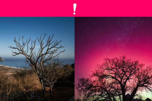 Científicos de la UNAM confirman que las auroras boreales en México ocurren cada 30 años, pero este 2025 el Sol adelantó el fenómeno previsto para 2054.