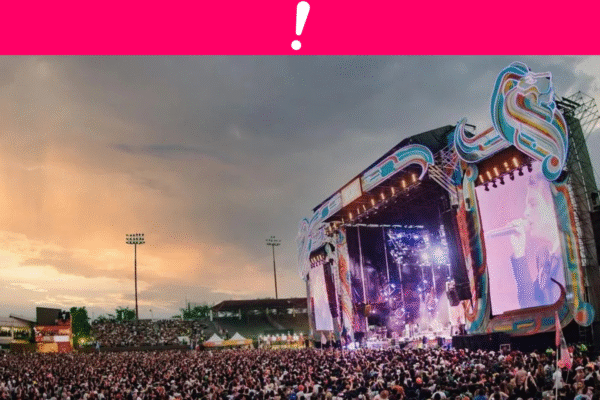 el auge de los festivales