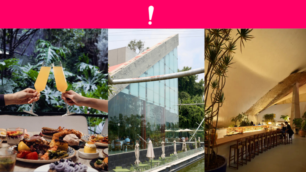 El ritual del brunch ha evolucionado en Ciudad de México: ya no es solo desayuno tardío, sino un plan social con diseño, coctelería, menú creativo y ambientes que inspiran stories desde el primer café