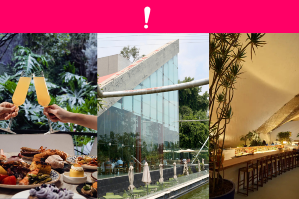 El ritual del brunch ha evolucionado en Ciudad de México: ya no es solo desayuno tardío, sino un plan social con diseño, coctelería, menú creativo y ambientes que inspiran stories desde el primer café